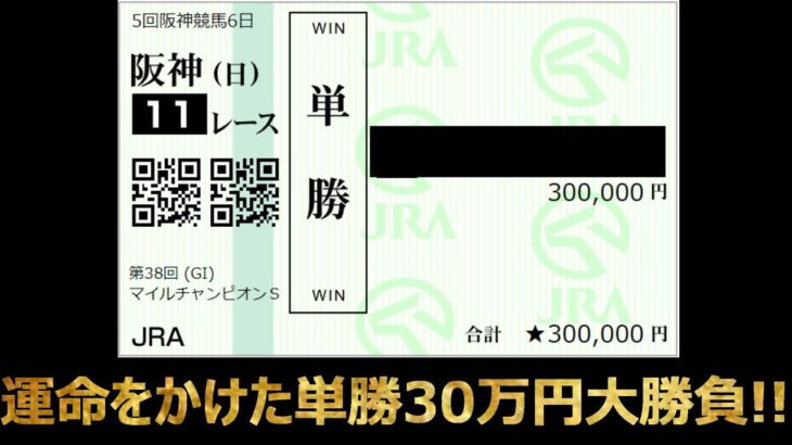 【競馬】マイルチャンピオンシップ編　単勝30万円の大勝負!!　ポカまる大金勝負