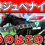 【阪神ジュベナイルフィリーズ2021・予想】追い切り絶好の馬は〇〇！予想大公開！