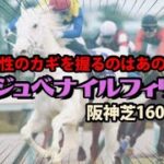 【競馬】2021 阪神ジュベナイルフィリーズ「アレがあり過ぎても良くない牝馬の阪神芝1600！」