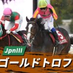 2021年 兵庫ゴールドトロフィー JpnIII｜第21回｜NAR公式