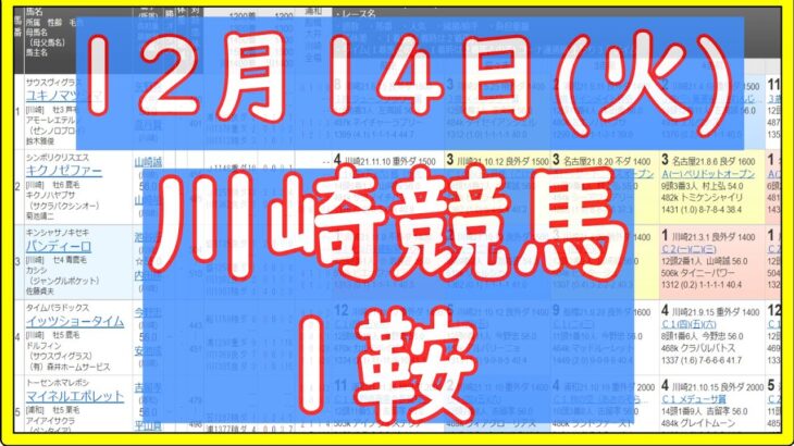 【川崎競馬】2021年12月14日(火)川崎競馬予想