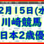 2021年12月15日(水)川崎競馬、全日本2歳優駿。見解