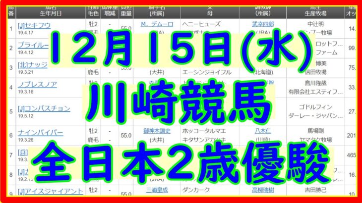 2021年12月15日(水)川崎競馬、全日本2歳優駿。見解