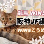 競馬WIN５阪神JF編