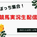 チネリWeek6日目！クリスマス競馬実況生配信！！