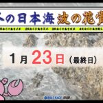 冬の日本海　波の花賞　最終日　10：00～16：10