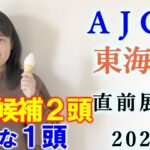 【競馬】AJCC 東海S 2022 直前展望(浦和競馬　ニューイヤーカップの予想はブログで！)ヨーコヨソー