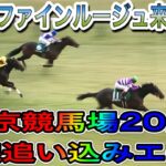 東京新聞杯2022 レース映像 レース結果 競馬