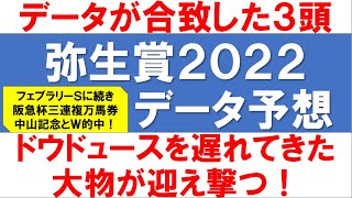 弥生賞2022競馬予想【打倒ドウドュース！第二のダノンベルーガ出現か】