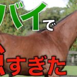 ドバイで日本馬が強すぎた…。世界に衝撃の1日を振り返る。