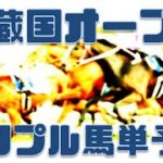武蔵国オープン2022｜さいたまスイーツ賞・ダイヤモンド特別【2022年4月26日浦和競馬予想】