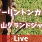 【競馬ライブ】JRA競馬実況・福島開催・アーリントンカップ、中山グランドジャンプ