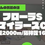 【フローラS＆マイラーズC】東京芝2000m＆阪神芝1600mの特徴と馬場傾向（トラックバイアス）