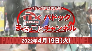 TCKパドックまるごとチャンネル（2022/4/19）