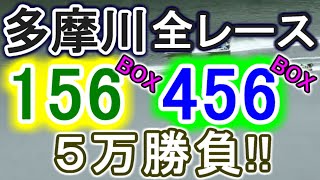 【競艇・ボートレース】多摩川で全レース「156BOX」&「456BOX」5万勝負！！