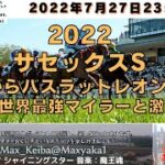 2022 サセックスS 日本からバスラットレオン出走  海外競馬実況ライブ!