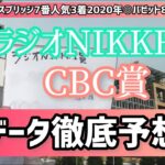 【ラジオ NIKKEI賞・CBC賞2022】夏競馬はお任せあれ!!!