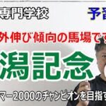 【競馬】新潟記念2022 予習動画 近年はサマー2000シリーズのチャンピオンを狙う陣営が好走【競馬の専門学校】