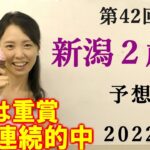 【競馬】新潟2歳S 2022 予想(日曜メインの小倉日経オープンはブログで！)