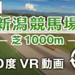 【360度VR動画】新潟競馬場 芝1000m | JRA公式