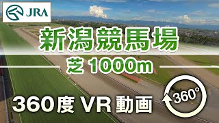 【360度VR動画】新潟競馬場 芝1000m | JRA公式