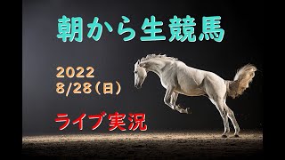 【中央競馬】朝から生競馬　ライブ配信（小倉→札幌→新潟）Horse Racing Commentary