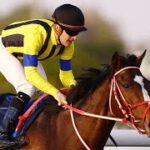LIVE 海外競馬🇫🇷仏ドーヴィル大賞 ステイフィーリッシュ 日本馬3頭目の優勝なるか！？