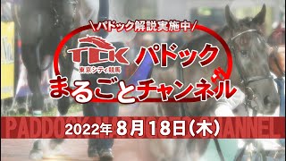 TCKパドックまるごとチャンネル（2022/8/18）