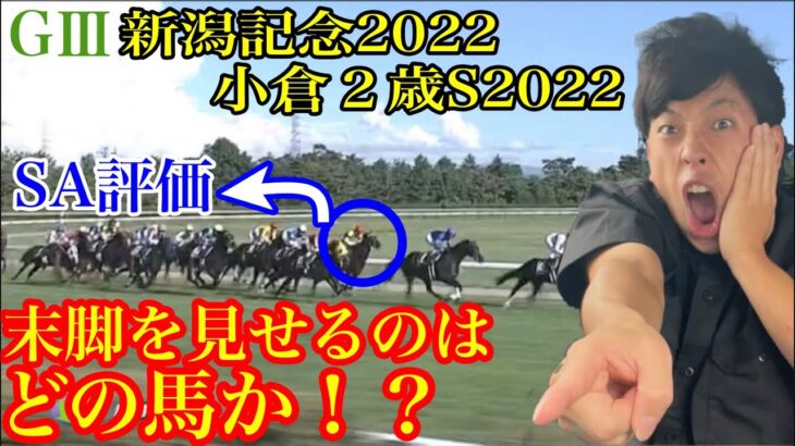 新潟記念2022 & 小倉2歳ステークス2022【実戦動画】