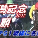 新潟記念2022　回顧　カラテがGⅠ戦線に名乗り！！　元馬術選手のコラム【競馬】