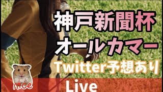 【競馬ライブ】神戸新聞杯・オールカマー！JRA全レース競馬実況！