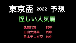 【競馬予想】 地方交流重賞　東京盃　2022 予想
