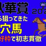 秋華賞2022爆穴馬「やっぱり穴馬で初志貫徹やー」