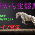【中央競馬】　 朝から生競馬　ライブ配信　（新潟→阪神→東京）Horse Racing Commentary