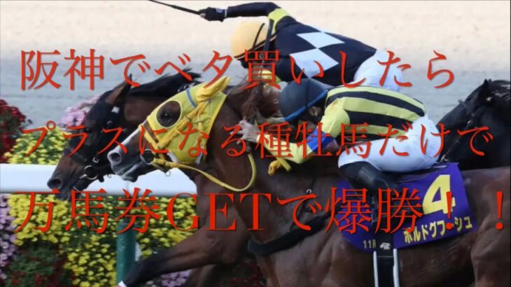 【競馬】阪神でベタ買いしたら勝てる種牡馬で阪神でボロ儲け【血統】
