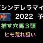 【地方競馬予想】 東京シンデレラマイル 2022 予想