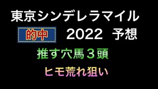 【地方競馬予想】 東京シンデレラマイル 2022 予想