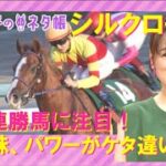 重賞馬11頭を含む短距離界の強豪が激突するシルクロードＳ『細江純子のネタ帳』