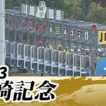 2023年 川崎記念 JpnI｜第72回｜NAR公式