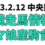 【京都記念】中央競馬情報 2023年2月12日【ウマ娘産駒】