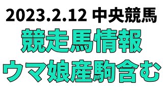 【京都記念】中央競馬情報 2023年2月12日【ウマ娘産駒】