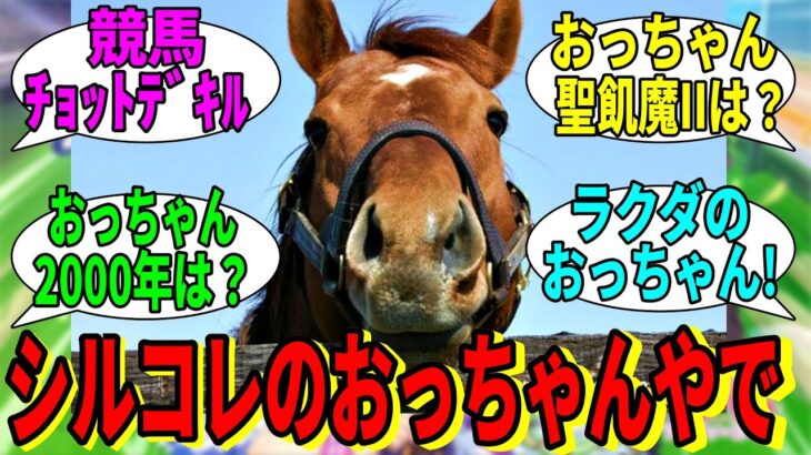 【競馬の反応集】「おっちゃんはな、シルコレの馬なんやで」に対する視聴者の反応集