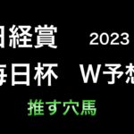 【競馬予想】 日経賞　毎日杯　2023  予想