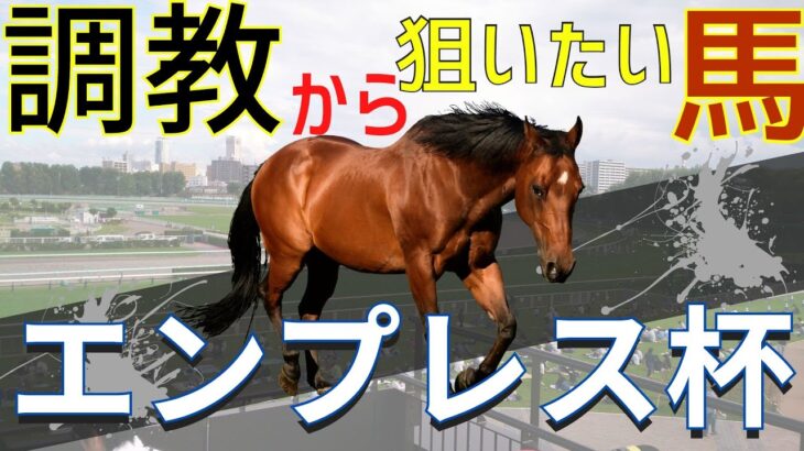【競馬予想】エンプレス杯 2023－調教から狙いたい馬【馬券対決】