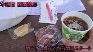 ひろチャンネル 49 「3/30 木曜日の園田競馬」カラスのカラスコ