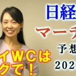 【競馬】日経賞 マーチS 2023 予想(ドバイ4競走の予想はブログで)