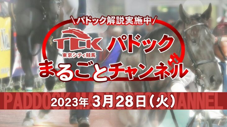 TCKパドックまるごとチャンネル（2023/3/28）