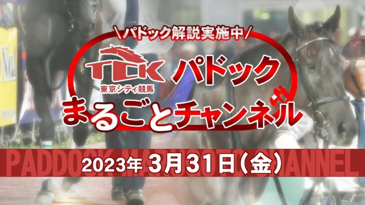 TCKパドックまるごとチャンネル（2023/3/31）