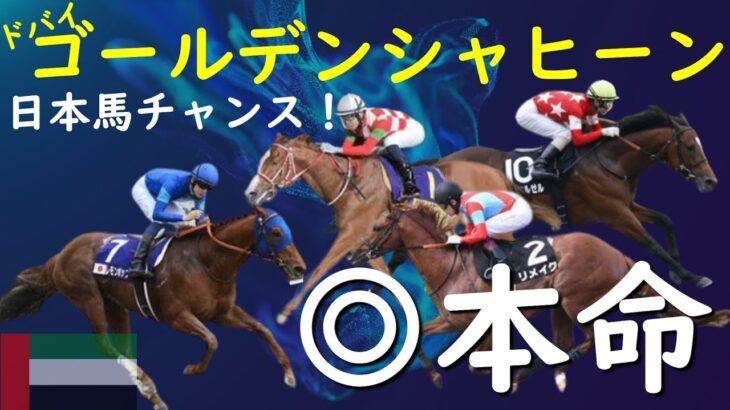 【ドバイゴールデンシャヒーン】最大の敵は日本馬？日米スプリント決戦で○○が逆転勝利へ。
