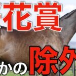 【異常事態】桜花賞で実力馬たちがまさかの除外！？皐月賞参戦もありえるか。